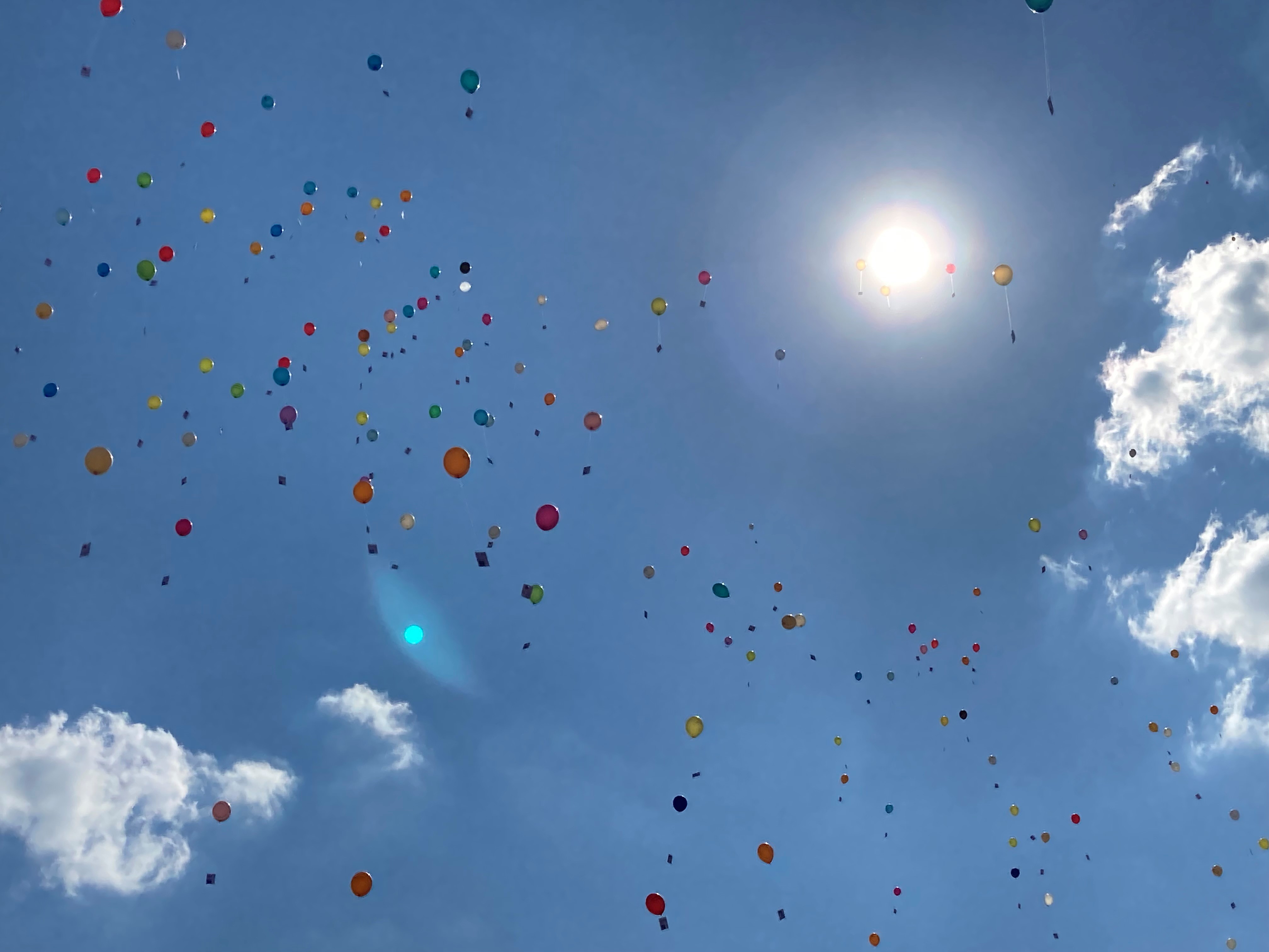  Die bunten Luftballons nach dem Start am blauen Himmel - das Bild wird mit Klick vergrößert 