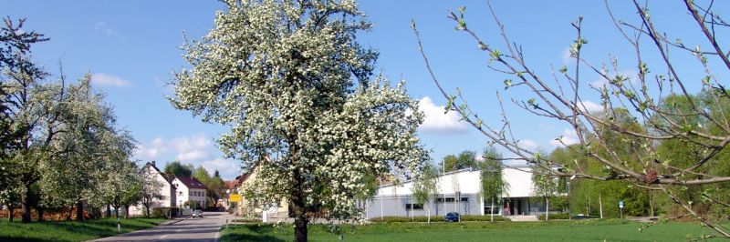 Ortseinfahrt Kirchardt von Berwangen kommend, mit blühenden Obstbäumen, den ersten Häusern und rechts im Bild das Feuerwehrhaus. - Das Bild wird mit Klick vergrößert 