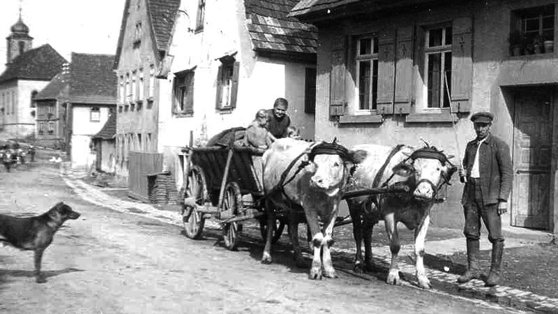  Am Straßenrand ein Kuhgespann mit 2 Rindern, auf dem Wagen sitzen eine Frau und ein Kind, rechts daneben steht ein Mann. Links im Bild steht ein Hund. - Das Bild wird mit Klick vergrößert 